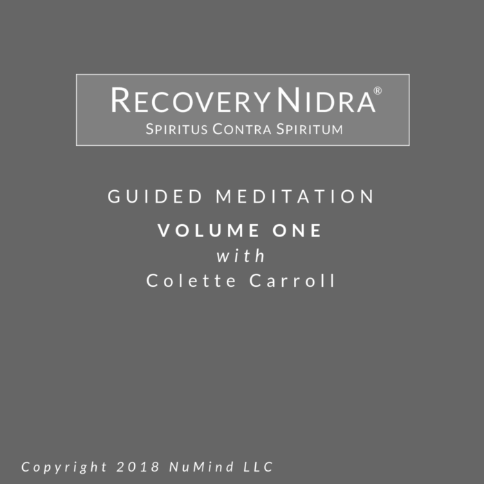 Recovery Nidra ® - Volume One - Image 2