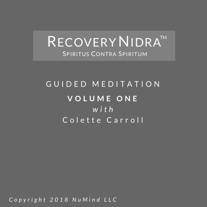 Recovery Nidra ® - Volume One