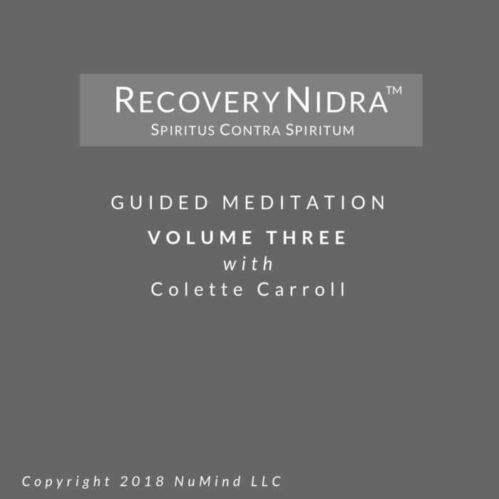 Recovery Nidra ® -  Volume Three