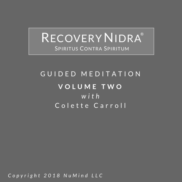 Recovery Nidra ® -  Volume Two - Image 2