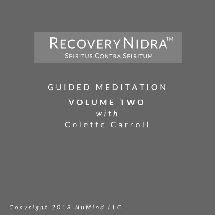 Recovery Nidra ® -  Volume Two